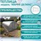 Теплица "Мария Делюкс" 11405
