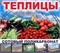 Теплица "Мария Делюкс" 11405